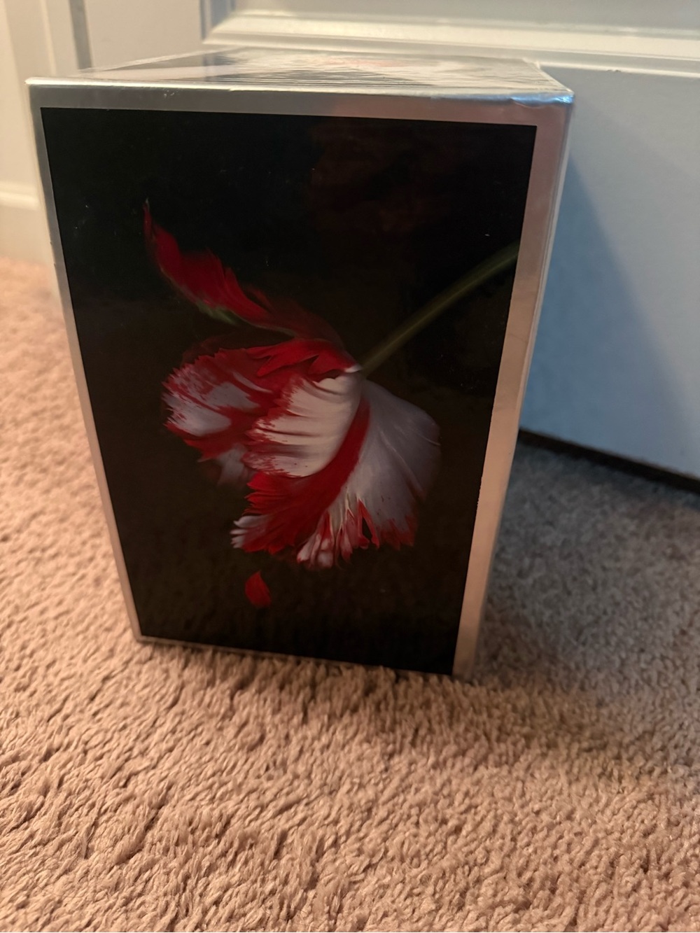Twilight Series Box Set - Black with Red Accents - Picture 3 of 8